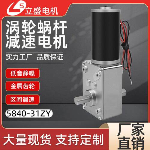 5840-31ZY双出轴直流减速电机微型涡轮蜗杆低速调速小马达12v24v