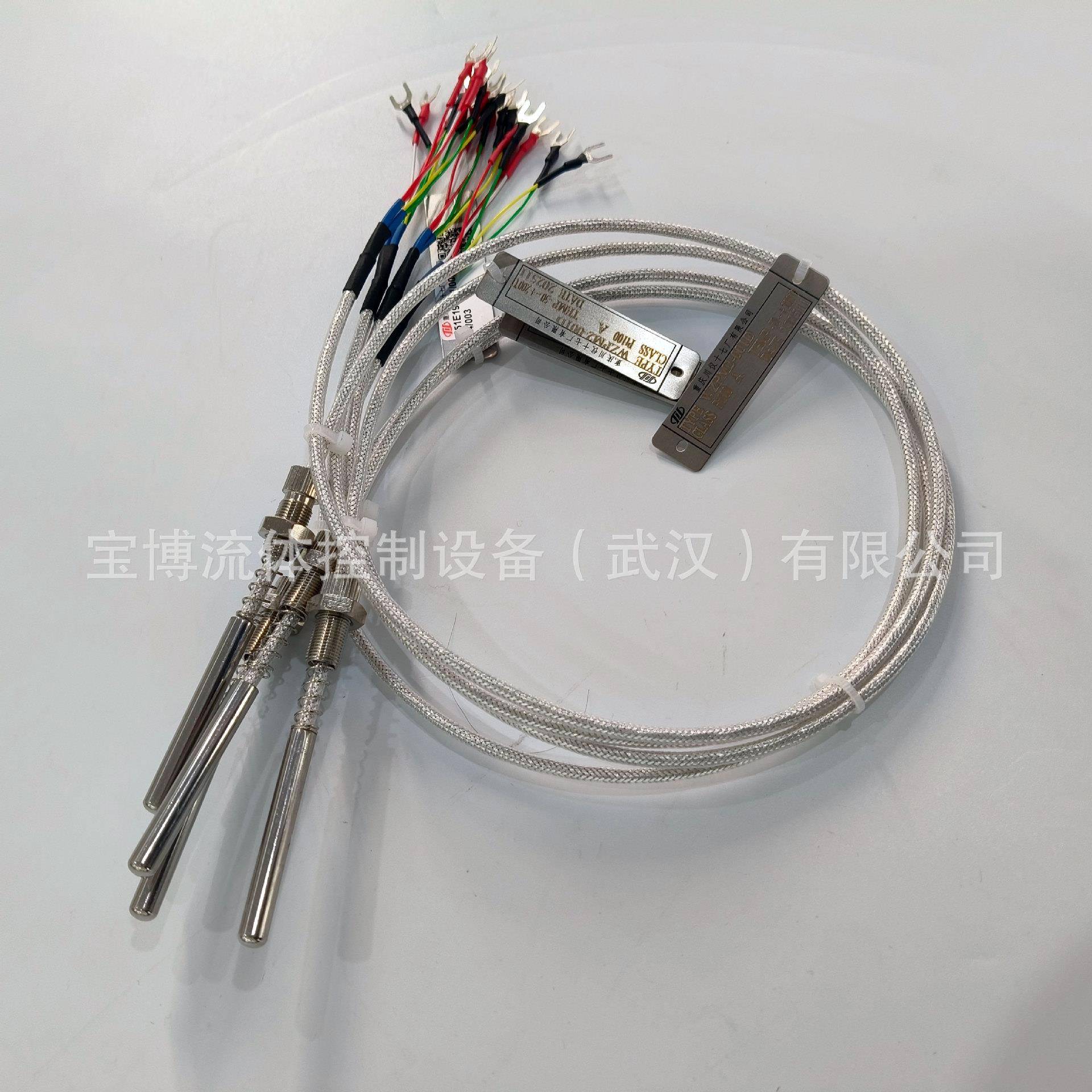 重庆川仪热电阻WZP系列热电阻PT100缆式测温电阻端面热电阻WZPM2