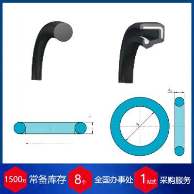 瑞士Forsheda 密封圈O形圈V形圈密封圈AS568