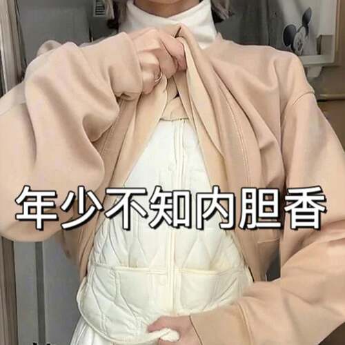 羽棉绒马甲女秋冬配大衣内马夹内胆东北加绒加厚保暖搭小背心坎肩