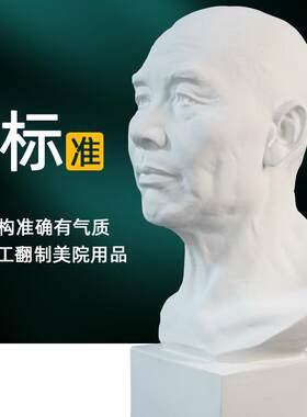 石膏像中国老农美术教具石膏头像画室常用石膏塑石膏头像模型