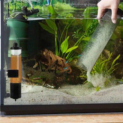 Artemia Eggs for Aquarium Aquarium Accessories Artemia Eggs