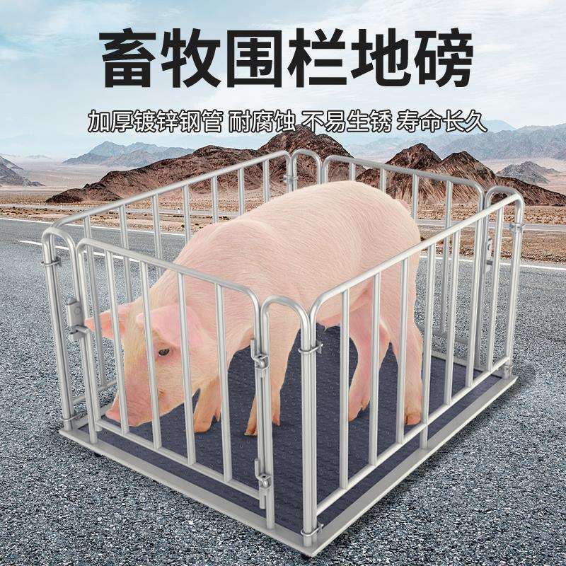 无线地磅秤1-3吨地磅工厂物流称猪牛带围栏称小型磅电子秤5吨地泵