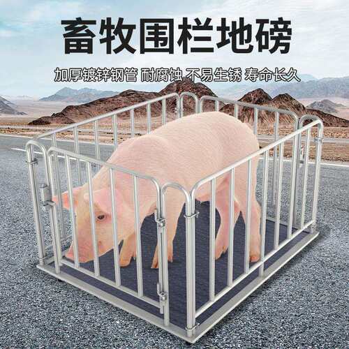 无线地磅秤1-3吨地磅工厂物流称猪牛带围栏称小型磅电子秤5吨地泵