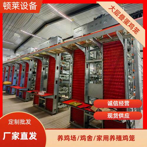 大层叠蛋鸡笼养殖笼养鸡设备立式自动化三层防锈蛋鸡笼现货供应
