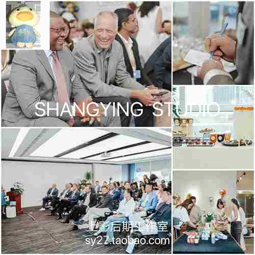 商业活动拍摄会议聚会PS手机版LR预设PR滤镜视频PR达芬奇剪映LUT