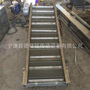 果蔬气泡清洗网带输送机肉食冷冻隧道线不锈钢网链输送机烘干机