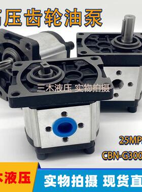 加强型液压齿轮泵油泵25MPACBT/CBN-G304CBN-G310CBN-G314/316