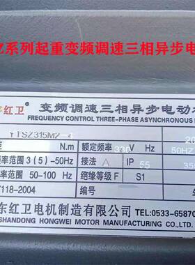 山东厂家直供YTSZ315M-4/200WYTSZ起重变频调速三相异步电动机