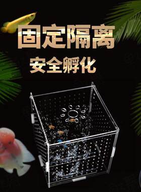 产盒隔离孵化器喂食鱼鱼仔多功能鱼缸宝宝盒小型虎鱼养鱼分离式母