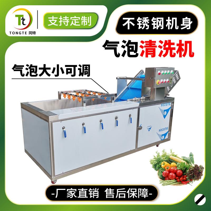 厂家直销全不锈钢蔬菜清洗机气泡清洗机净菜加工果蔬臭氧洗菜机