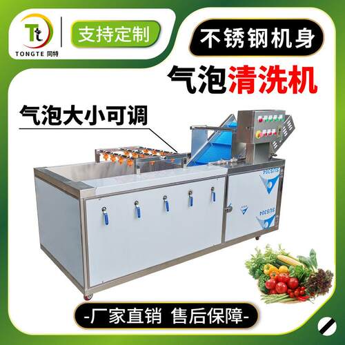厂家直销全不锈钢蔬菜清洗机气泡清洗机净菜加工果蔬臭氧洗菜机