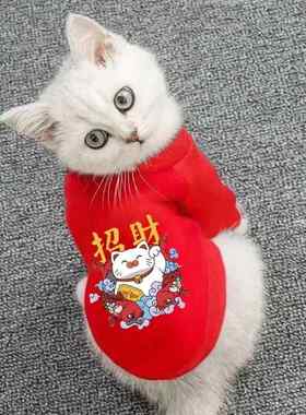 喜庆宠物衣服不掉毛秋冬款猫猫小型幼犬柯基博美防冻招财猫咪卫衣