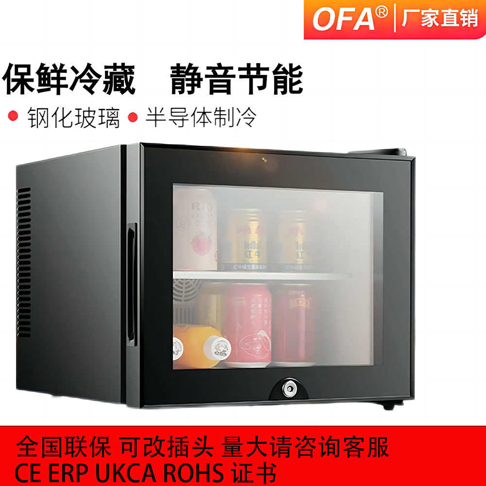 静音家用节能民宿酒店客房小冰箱半导体小型保鲜迷你冰箱冰吧
