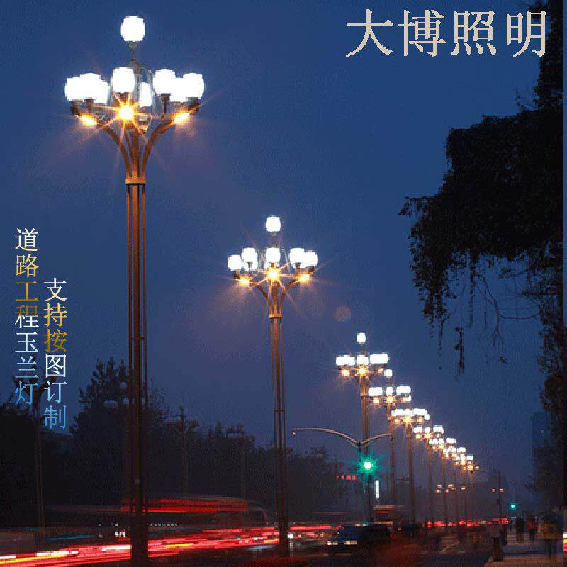 LED玉兰灯特色中式芙蓉款广场商业街道路照明高亮装饰厂家