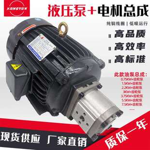 液压油泵电机组CBN+1.5KW2.2KW液压泵总成内轴电机液压站配件系统