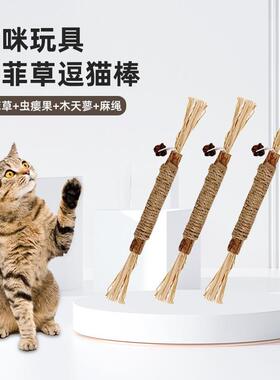 Cat toys for self-entertainment, including interactive tease