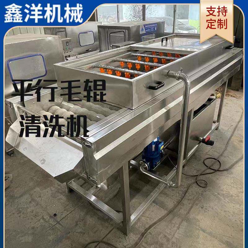 厂家南瓜贝贝毛辊清洗设备海蛎子生蚝高压清洗机