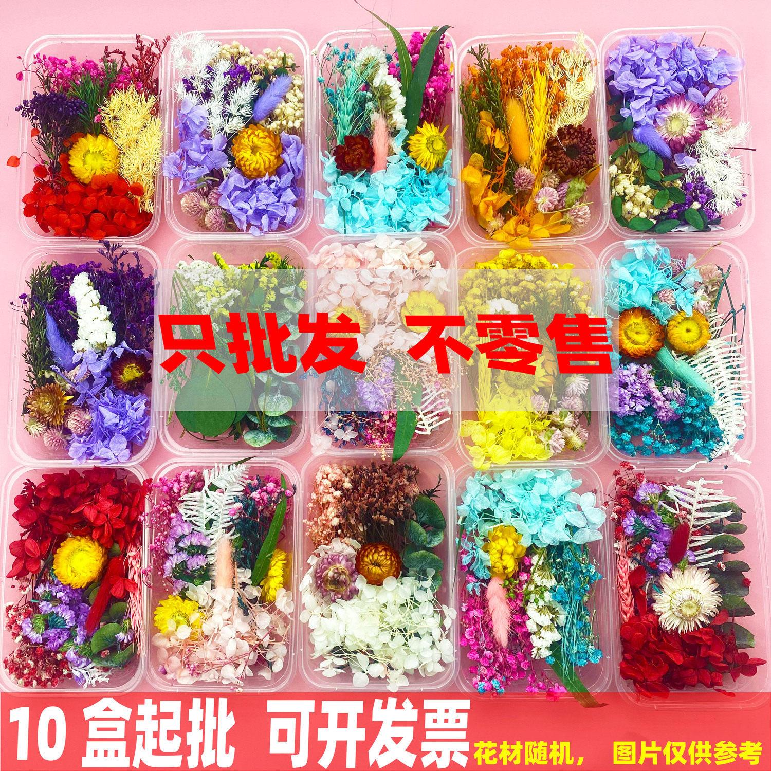 厂家永生花混合干 干燥花材料 diy节日亲子活动相框团扇手工花材