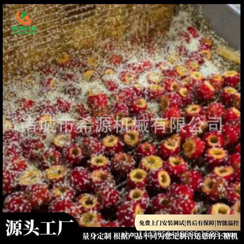 全自动山楂上糖机 冻干水果浸糖机器 加热糖浆保温好 糖葫芦上糖