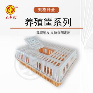 塑料鸡笼家禽鸽子加厚运输笼运输箱 养殖塑胶周转箩筐大号