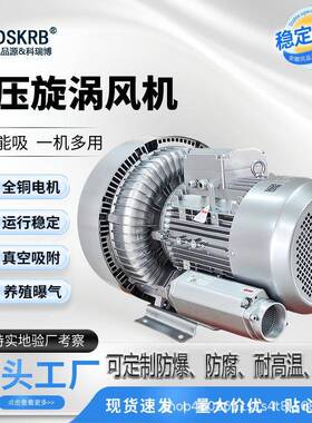 RB-720-47工业发酵池曝气用双叶轮高压漩涡气泵5.5KW双段高压风机