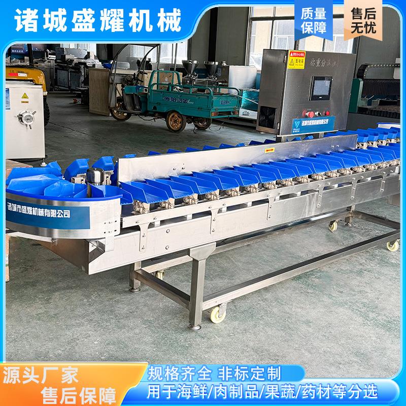 小黄鱼重量分选机 6级梅子鱼智能分鱼机 甲鱼鲍鱼称重分拣机盛耀