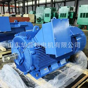 直接驱动电动机Y3-355-2/450W3300VIC411
