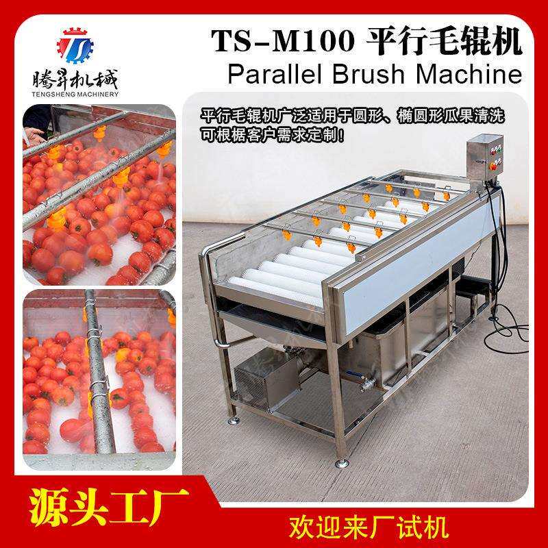高压喷淋生蚝清洗机 多功能气泡喷淋清洗机价格 平行毛辊洗蚝机