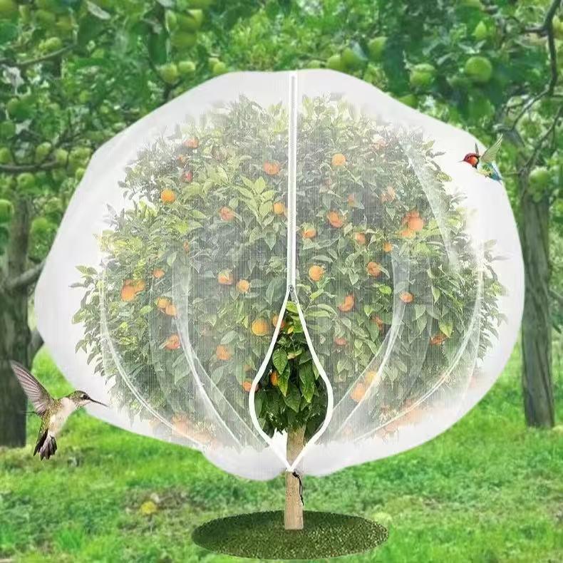保护套果树果树防虫其它园艺用品