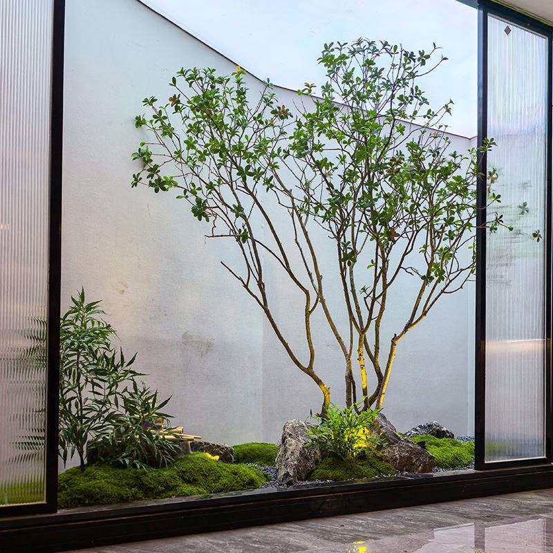 高端仿真马醉木橱窗造景植物室内榕树绿植装饰树大型假树简约景观