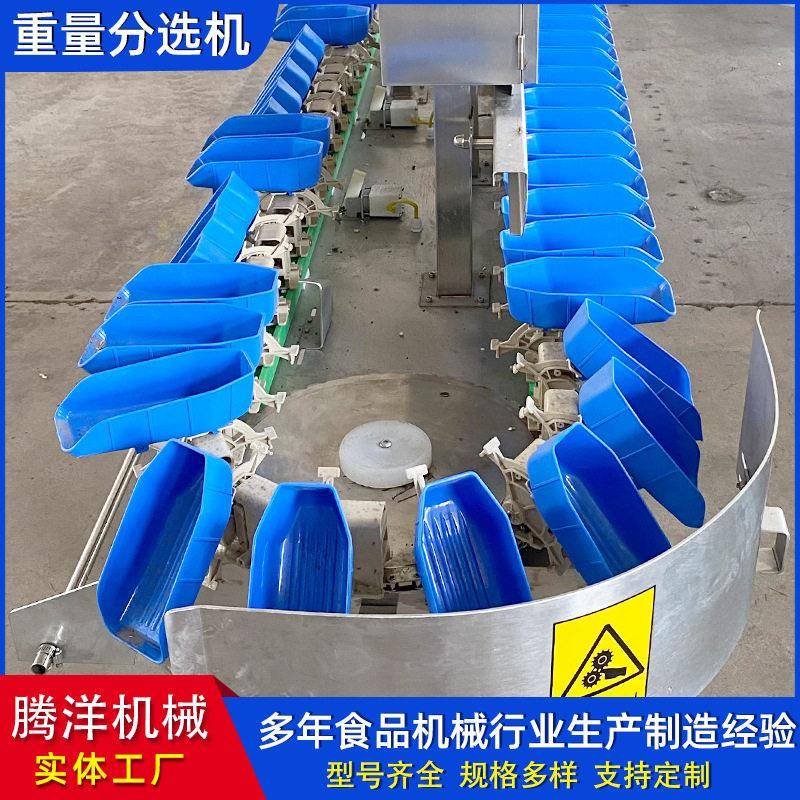 全自动重量料盒分选机自动白条鹅分选设备
