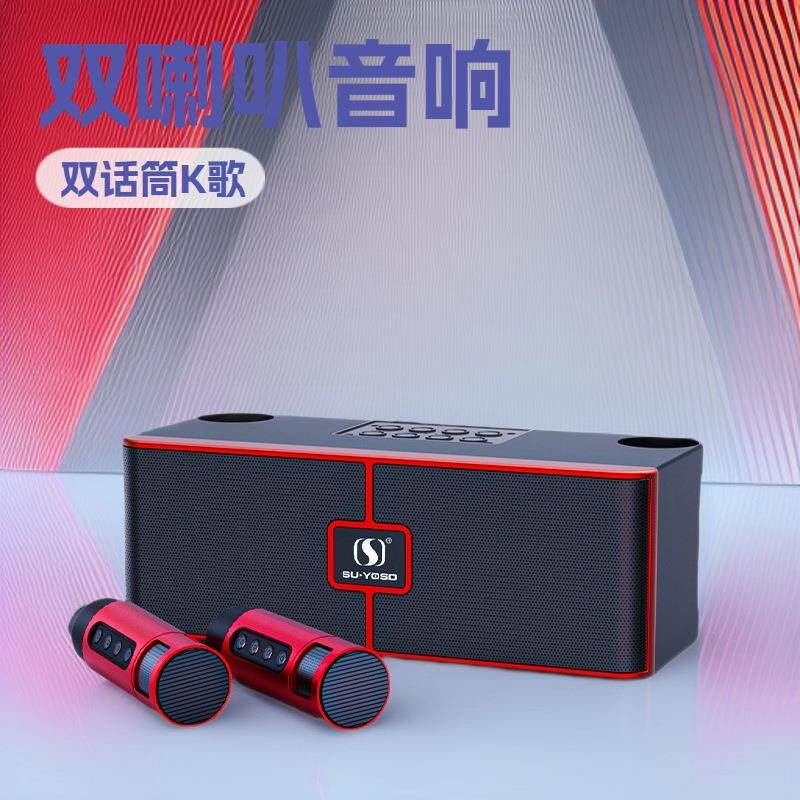 源头工厂室内K歌音响20W双喇叭双话筒音箱卡拉OK套装K歌宝一体机