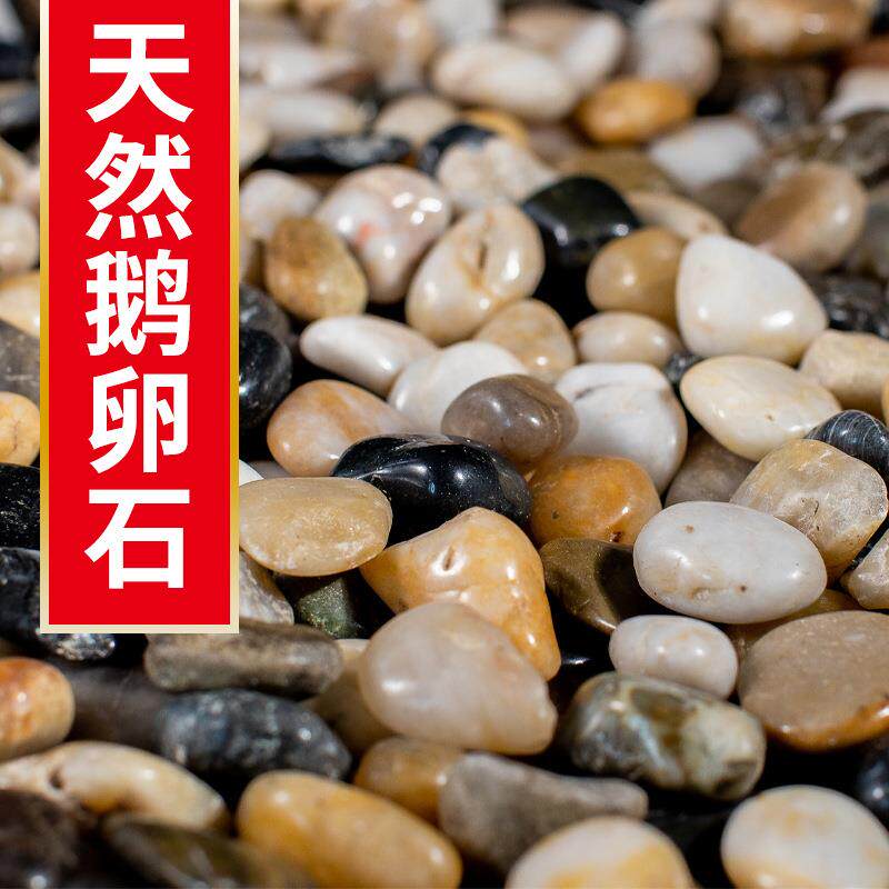 鹅卵石雨花石花盆铺面鱼缸溪流石铺底造景小白石子天然鹅软石原石
