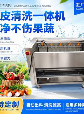全自动毛刷土豆清洗机家用毛辊清洗去皮机不锈钢清洗神器一体机