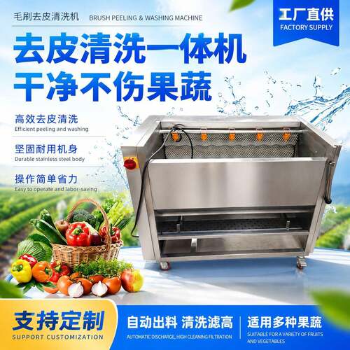 全自动毛刷土豆清洗机家用毛辊清洗去皮机不锈钢清洗神器一体机