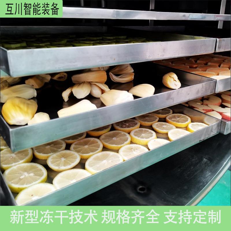 真空冷冻干燥机NDZ香蕉苹果真空冻 干机 大型蔬小型冻干果设备 冻