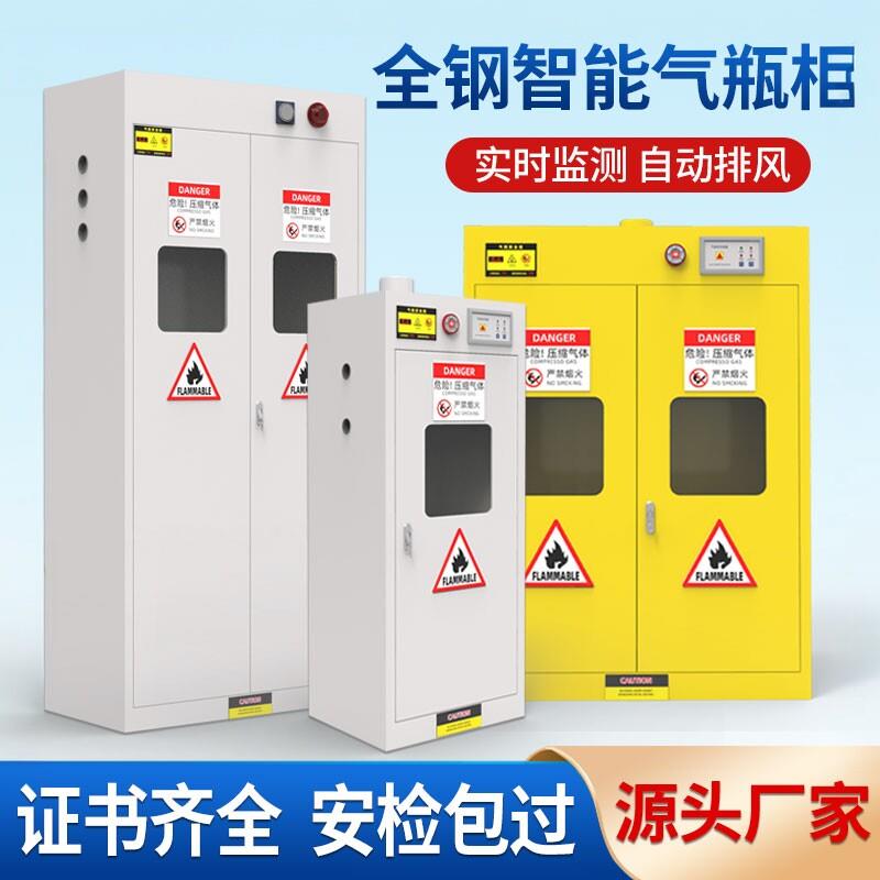 全钢气瓶柜气体储存柜工业气瓶防爆柜实验室气体安全柜瓦斯罐钢柜图片
