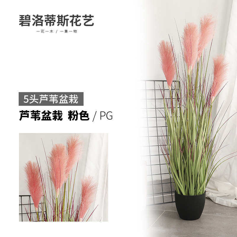家居36仿真花洋葱 芦苇草盆栽北欧头假5”厂家直销花芦苇盆景仿真