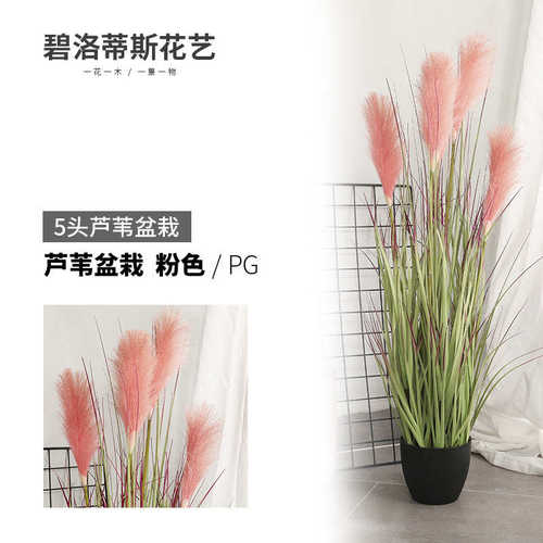 家居36仿真花洋葱 芦苇草盆栽北欧头假5”厂家直销花芦苇盆景仿真