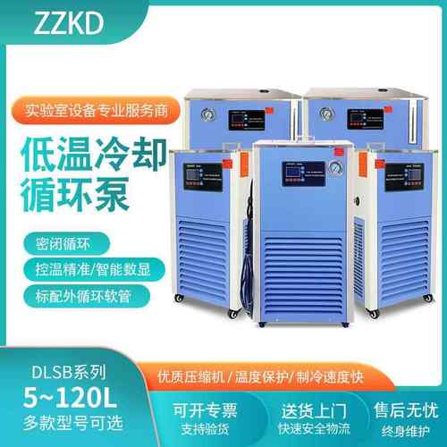 20L低温冷却液循环泵DLSB-20/20低温泵实验室液体循环恒温冷水机