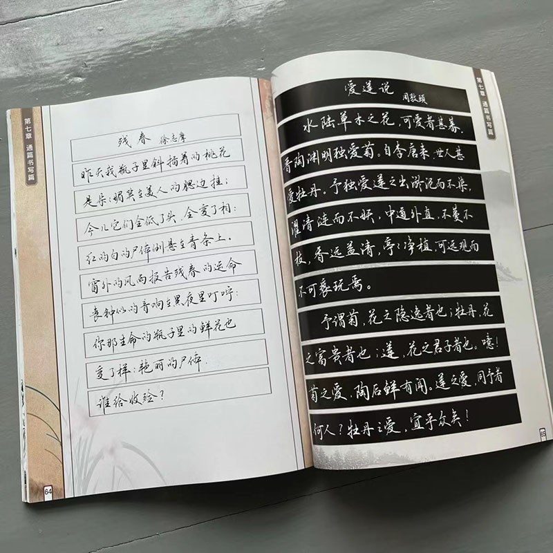 精品2025新款逍遥硬笔书法行楷字帖行书钢笔字帖全新升级图文精讲