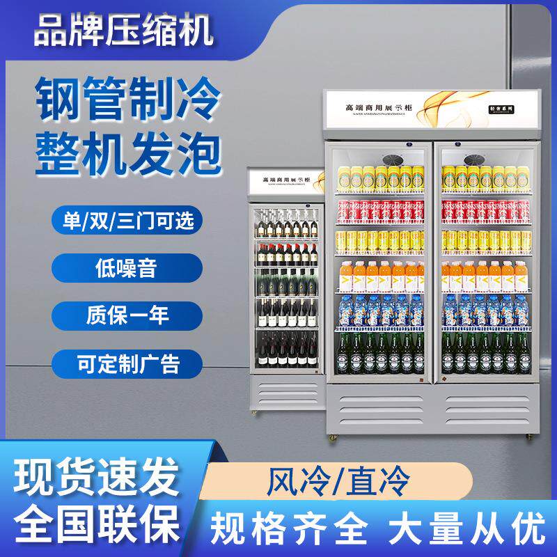 啤酒柜展示柜商用冷饮柜超市酒吧保鲜柜饮料冰柜冷藏单双门展示柜