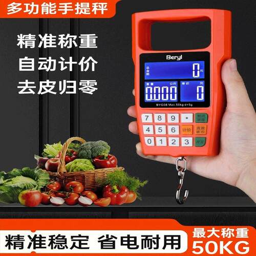 手提电子秤可携式小型高精度迷你可携式称快点称买 菜防欺诈手提