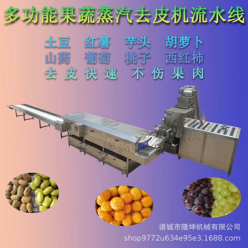 黄桃罐头蒸汽去皮机 厂家直供多功能果蔬脱皮机 全自动商用削皮机
