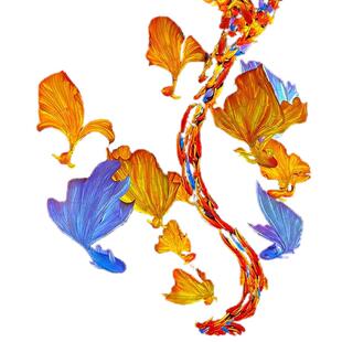 豫园网红锦鲤鱼灯笼吊挂装饰现货大尾巴鱼灯大型节日灯会花灯工厂