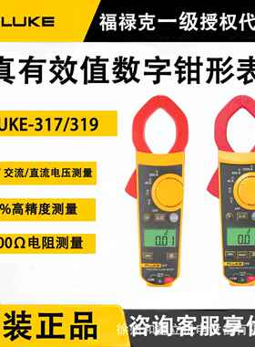 Fluke福禄克319 317钳形表万用表交直流数字电流表福禄克总