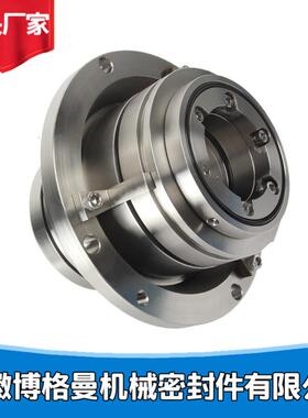 压力筛机械密封 LP-D-SA-D4S1机械密封安徽博格曼机械密封
