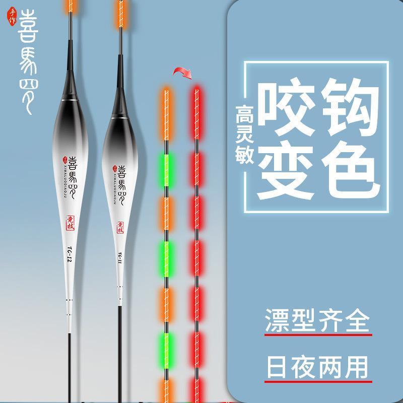 变色重力感应夜钓鱼漂鲫鱼浮漂