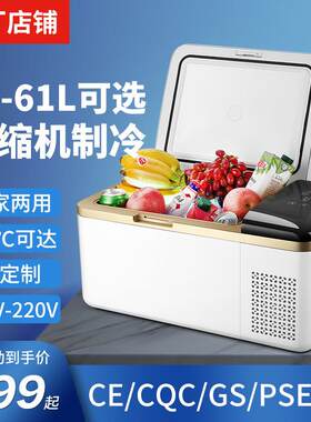 车载冰箱跨境外贸19升车用冰箱车家小冰柜24v压缩机制冷可达-20度